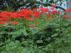 DSCN9640
