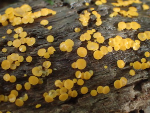 P9231093