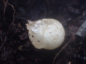 P9140791