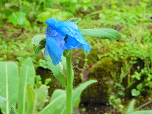 DSCN8812
