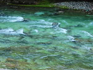 DSCN9461