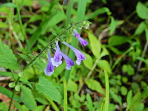 DSCN9831
