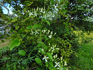 DSCN0038