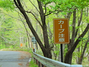 DSCN9929