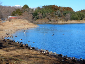DSCN0347