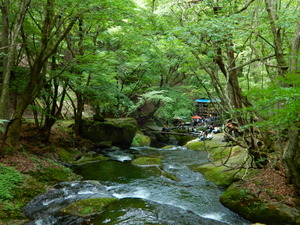 DSCN9723
