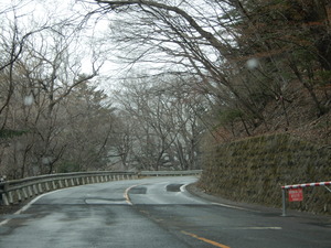 DSCN9594
