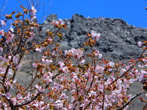 DSCN0070