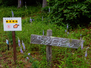 DSCN0073