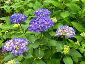 IMG_3857