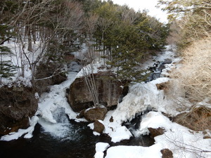 DSCN9928