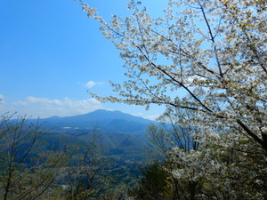DSCN9819