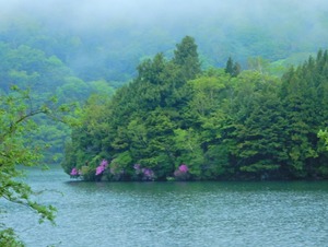 DSCN9505