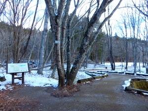 DSCN0827