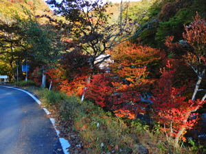 DSCN9879