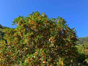 IMG_2756
