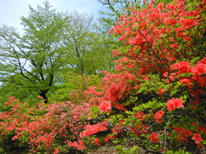 DSCN0189