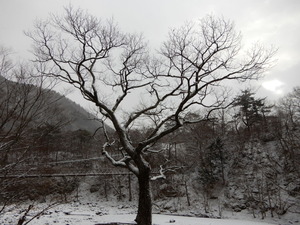 DSCN9308