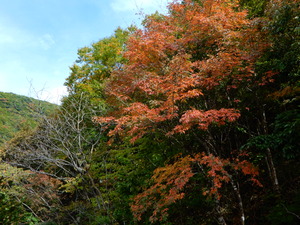 DSCN9355