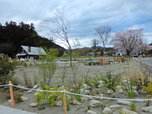 DSCN9766