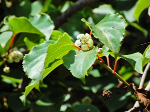 DSCN9840
