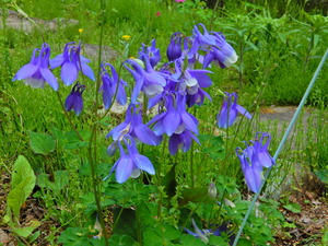 DSCN9927