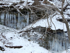 DSCN9423