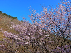 DSCN9898