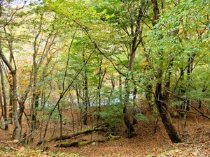 DSCN0455