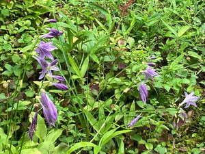 IMG_1228
