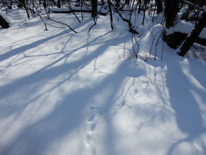 DSCN0272