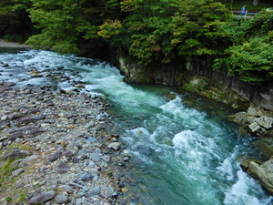 DSCN9451