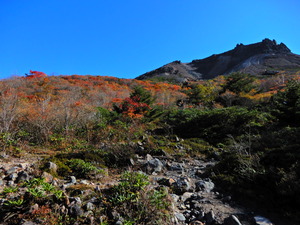 DSCN9644