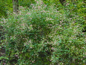 DSCN9692