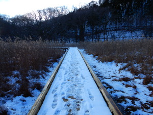 DSCN0834