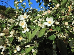 DSCN0426