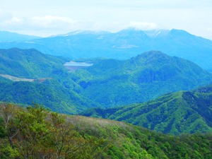 DSCN9305