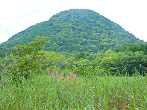 DSCN0022
