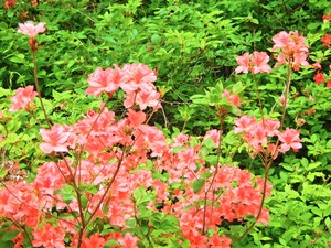 DSCN9831