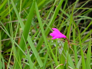 DSCN0156
