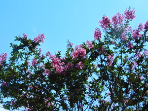 DSCN0540