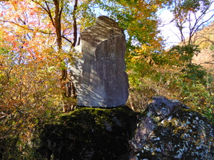 DSCN1544