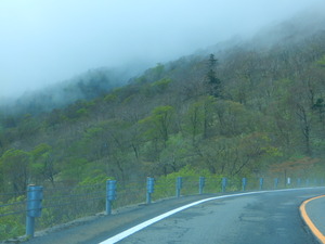 DSCN9307