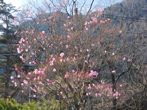 DSCN9739