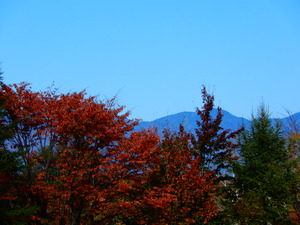 DSCN9931