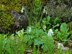 DSCN0157
