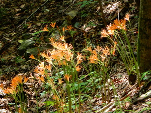 DSCN9819