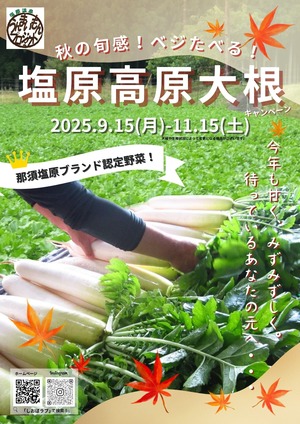 卪2025`V\