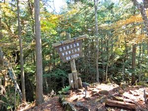 DSCN0881