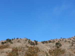DSCN9733